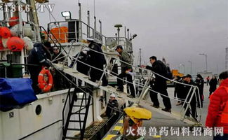 2019開門紅 橫沙國際漁港喜迎年度首艘外輪，助力畜牧漁業(yè)飼料銷售